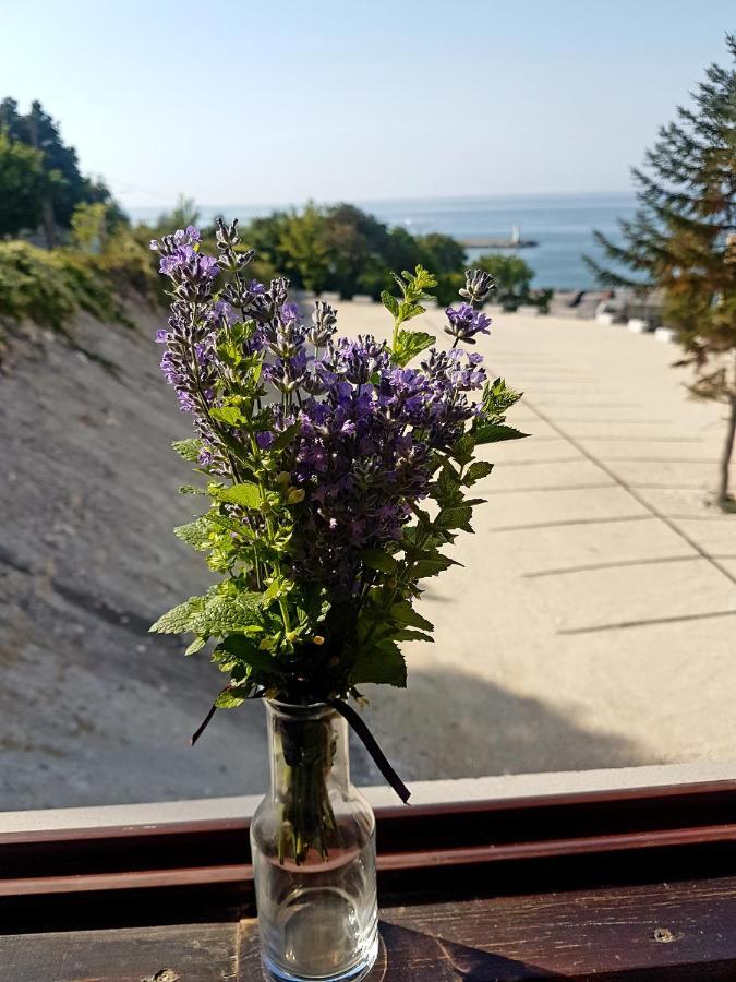 Family Hotel Venera Kavarna ภายนอก รูปภาพ